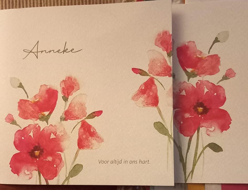 WhatsApp Image 2026-01-27 at 17.56.15.jpeg