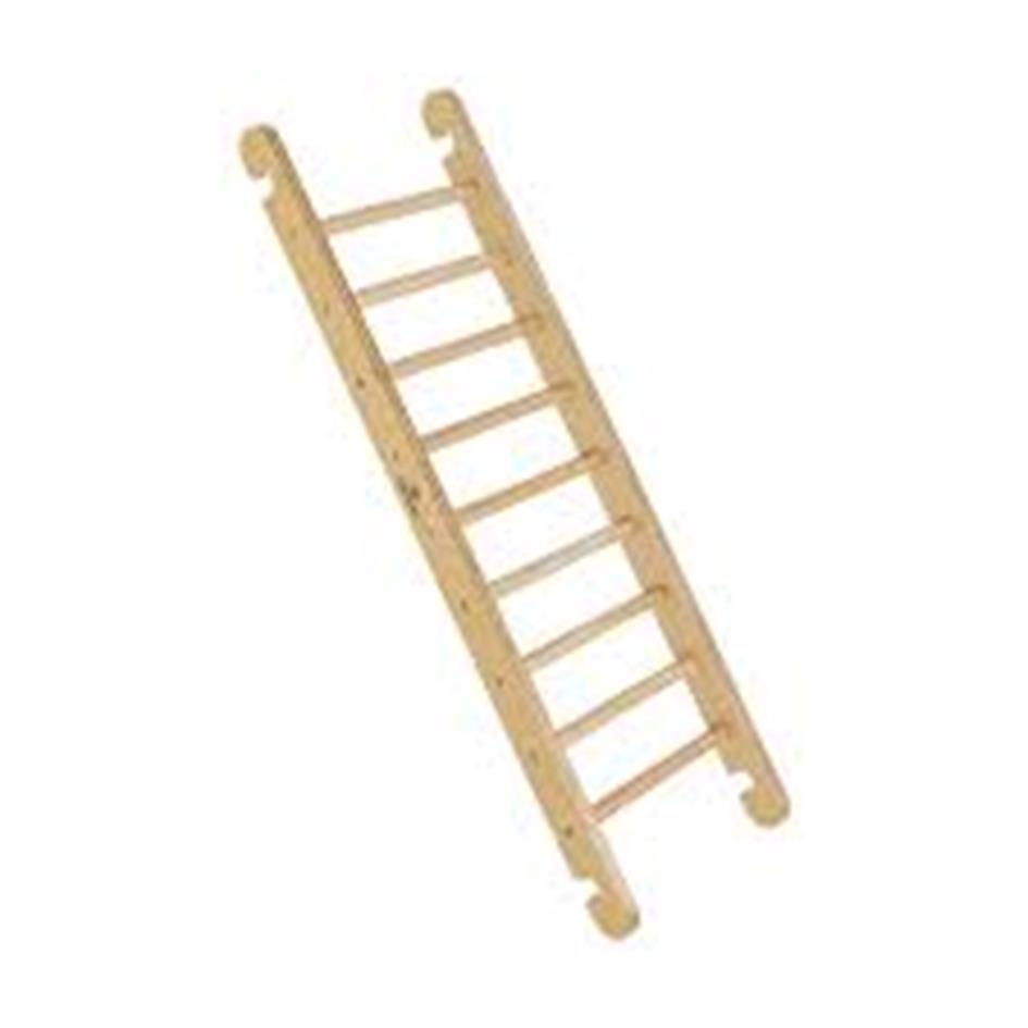 ladder.jpeg