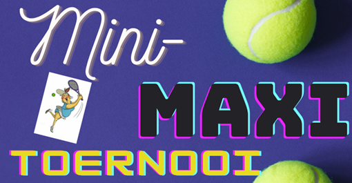 Mini-Maxi plaatje.png