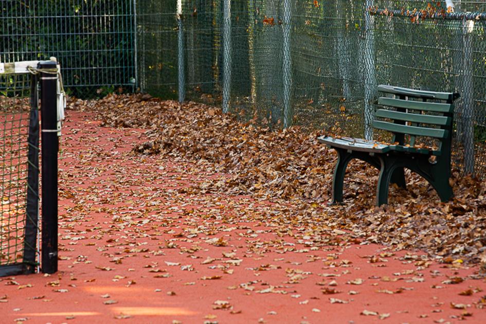autumnTcU-1.jpg