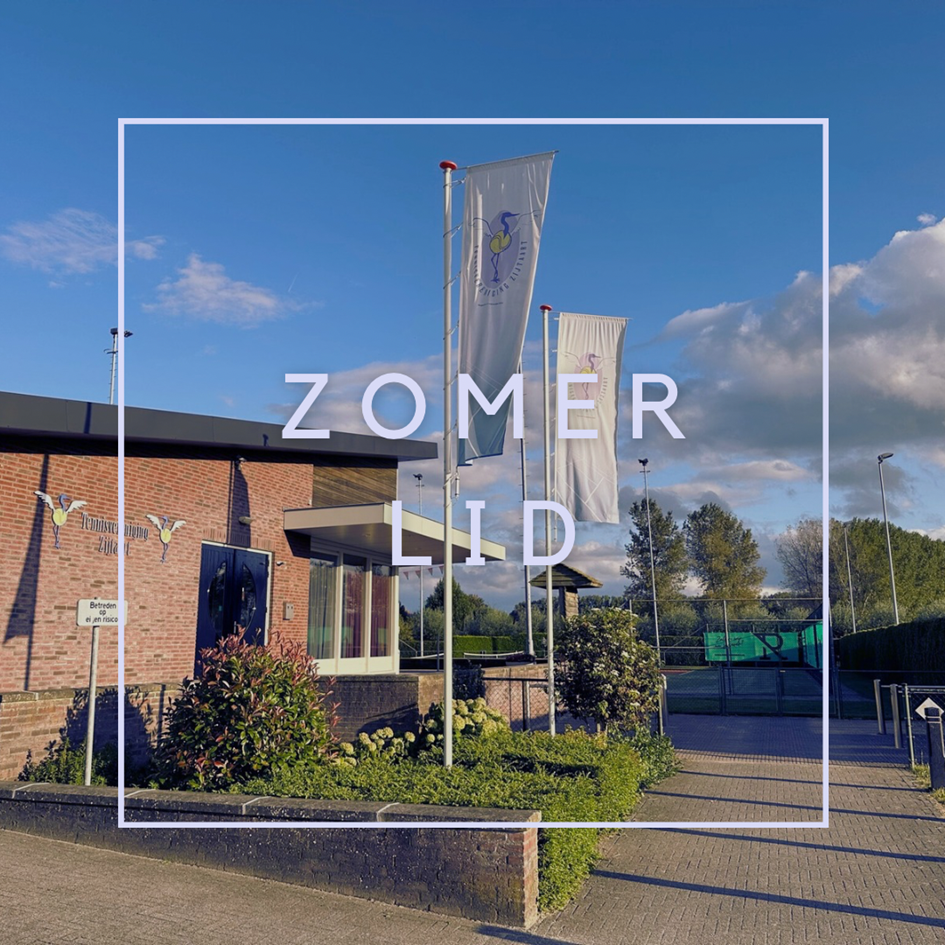 ZOMER LID.png