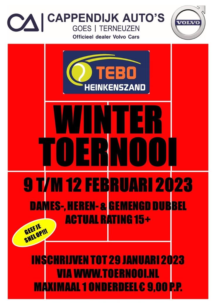 Poster Cappendijk Auto's TEBO-Wintertoernooi 2023.jpg
