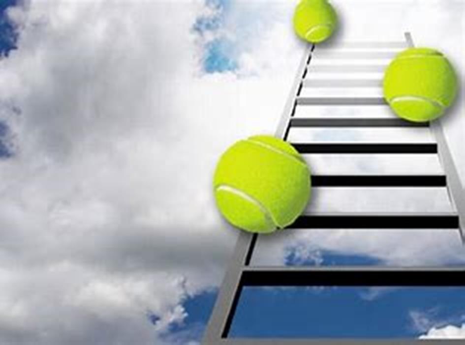 laddercompetitie.jpeg
