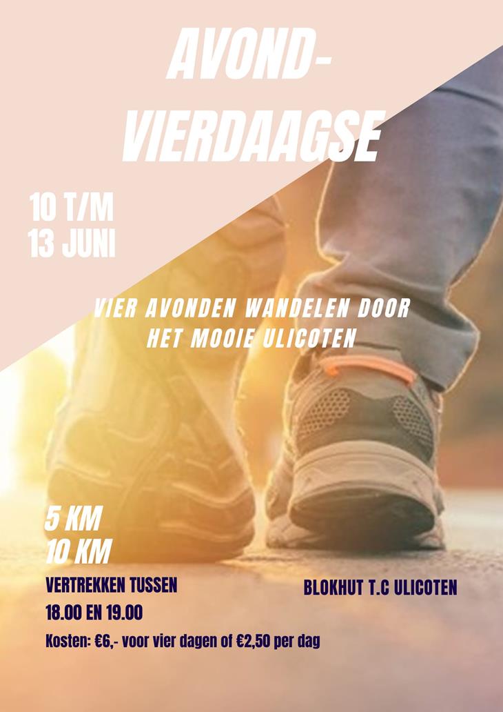 Flyer Avondvierdaagse 20245.jpg
