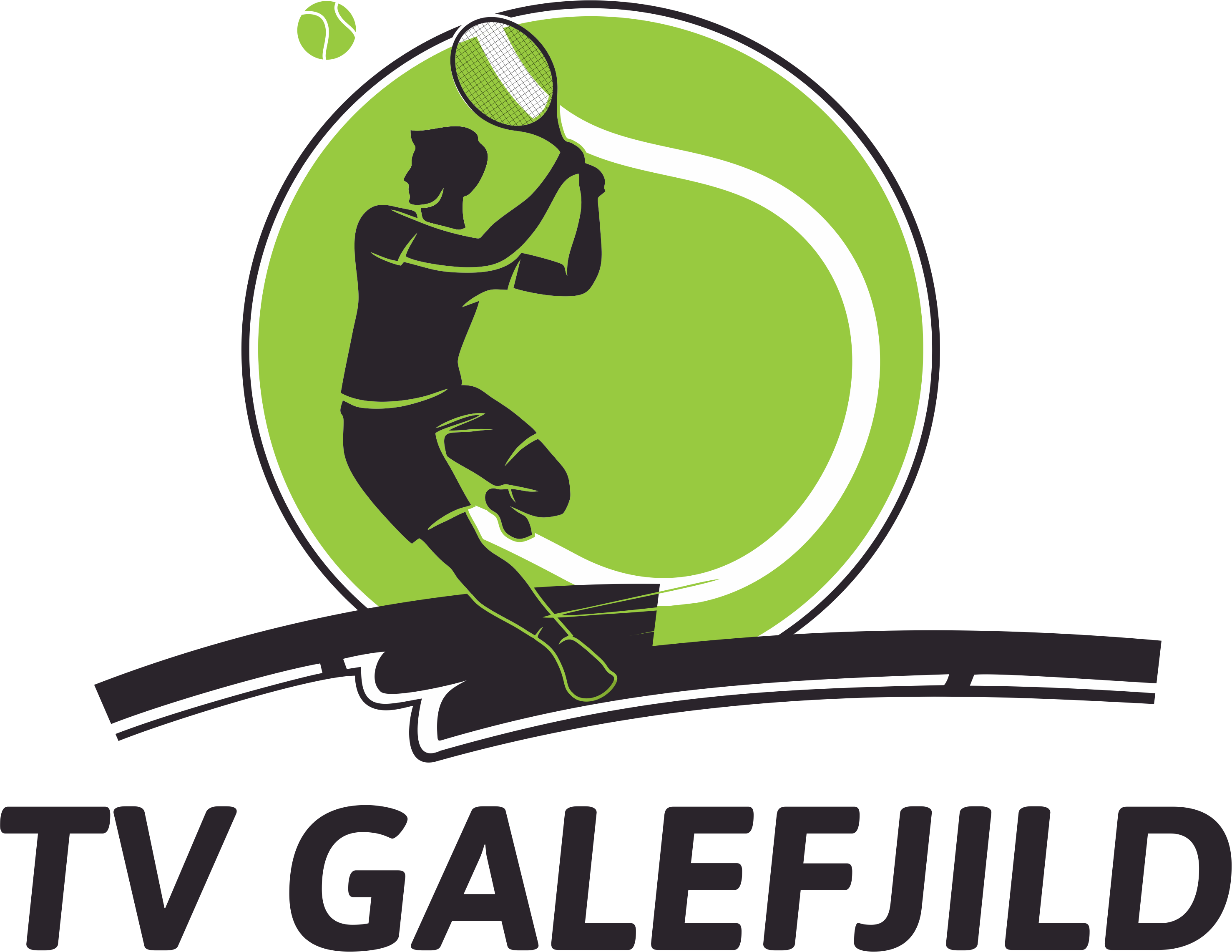 Logo T.V. Galefjild