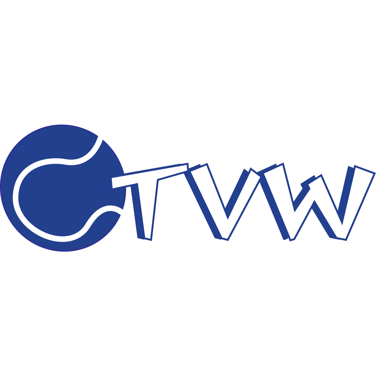 Logo T.V. Wapenveld
